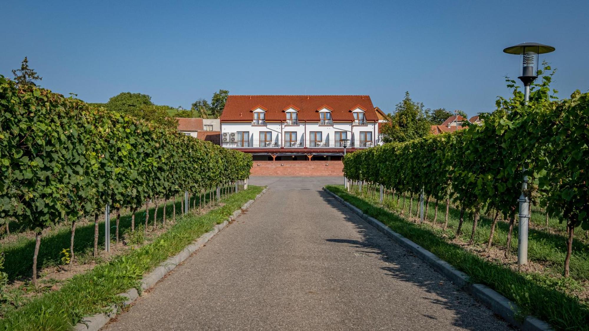 Penzion Pod Kravi Horou Bořetice Exterior foto
